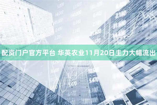 配资门户官方平台 华英农业11月20日主力大幅流出