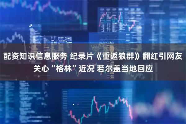 配资知识信息服务 纪录片《重返狼群》翻红引网友关心“格林”近况 若尔盖当地回应